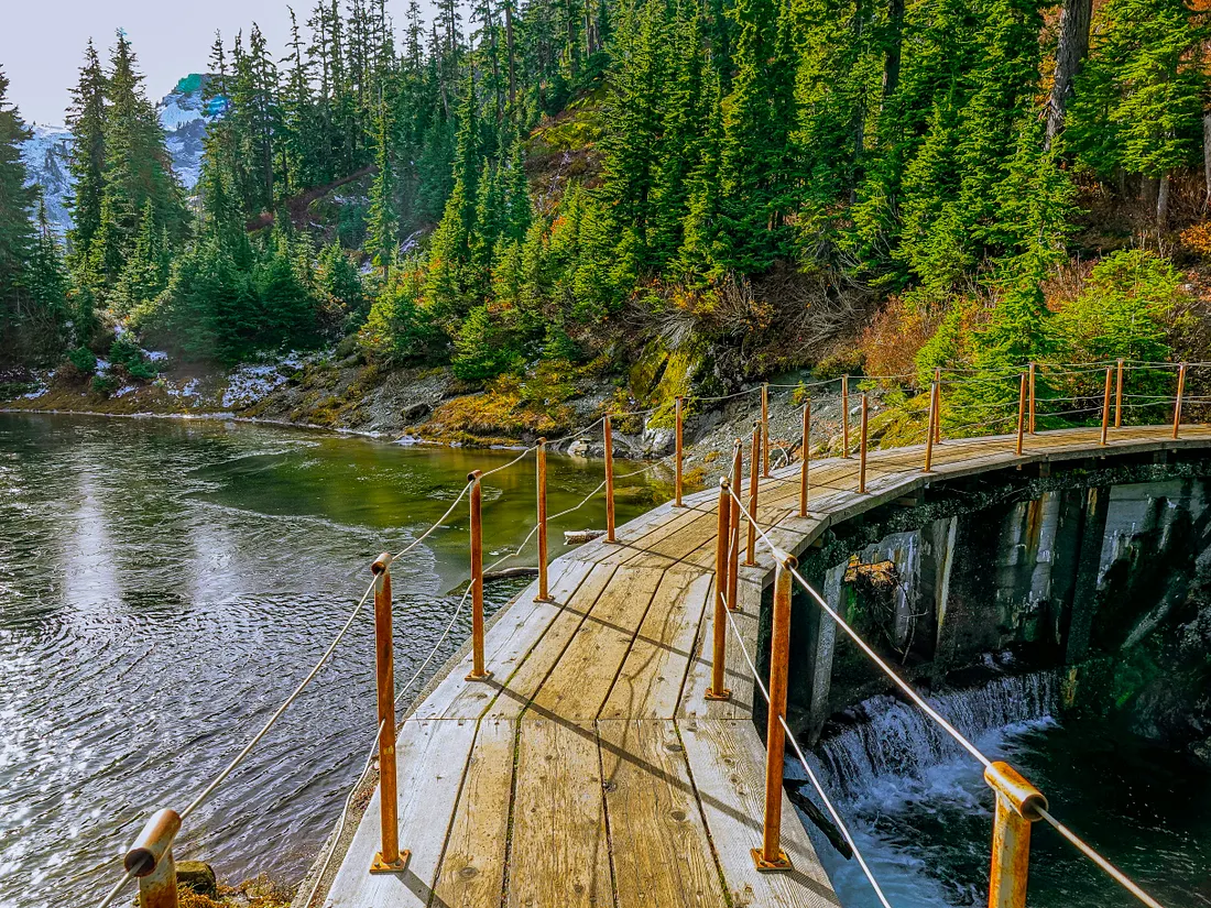 Why I Ditched My Java Backend for Hono and AI Interns.